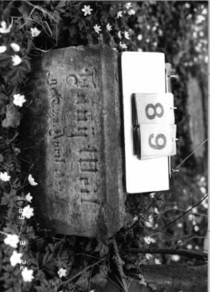 Grabstein 89 (Index: 99792166) Material: Sandstein Zustand: verwittert Beschreibung: Sockel Besonderheit: keine Maßangaben: Grabstein 89