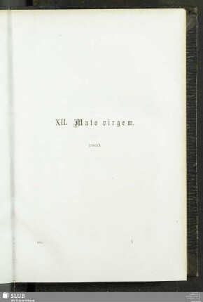 Reiseskizzen: XII. Mato Virgem