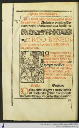 Ordo benedicendi ramos et frondes in Dominica die palmarum