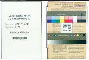 Entnazifizierung Wilhelm Schmitz , geb. 09.07.1908 (Packer)
