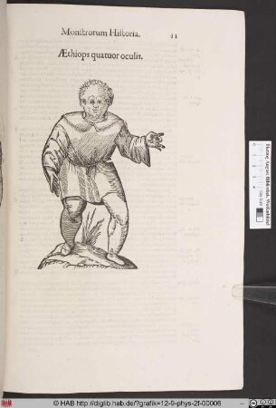 AEthiops quatuor oculis