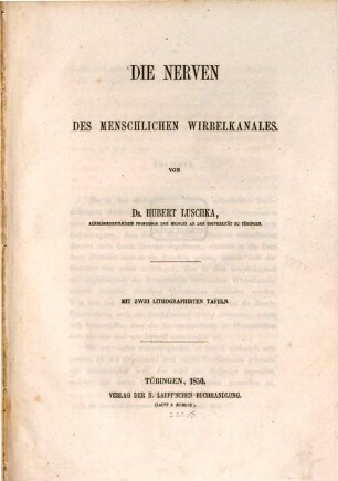 Die Nerven des menschlichen Wirbelkanals