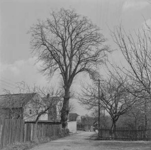 Haus Binnewitz : Binnewitz. Teilansicht des Dorfes