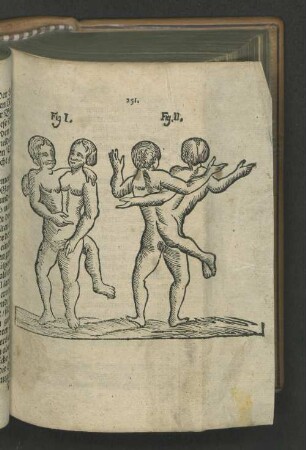 [Fig. I. und II. zu S. 251]