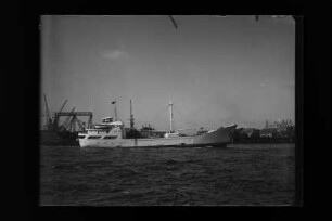 Marie Horn (1959), Horn & Co. K.G., Glückstadt