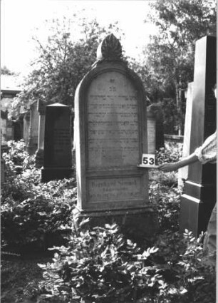 Grabstein 53 (Index: 100114354) Material: Kalkstein Zustand: leicht verwittert Maße HxBxT: 183x64x31 cm Beschreibung: Stele, getreppter Sockel, Rundbogenabschluß mit Mittelakroter Symbolik: Palmette und Voluten als Mittelakroter: Grabstein 53