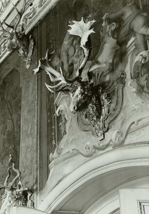 Geweihe: 66-Ender von rechts (1696 in der Nähe von Frankfurt a.O. von Kurfürsten von Brandenburg geschossen). Moritzburg/Dresden: Barockmuseum (ehem. Jagdschloß). Monströsensaal