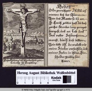 Wahre Abildung deß Wunderthätigen Crucisto zu Traubing.