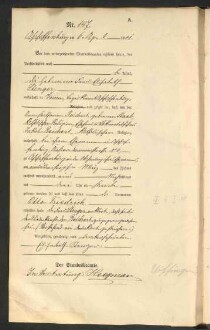 Standesamtsbuch der Stadt Aschaffenburg: Geburten 365/1900 - 184/1901