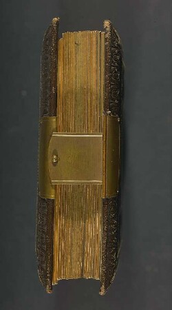 Familienalbum : Familienalbum. Ledereinband, geprägt mit Messingschließe, Goldschnitt; 16,5 x 23 x 4,5 cm (um 1870/1875). Dresden: SLUB/DF 2017.B.506