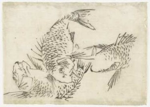 Fische im Netz