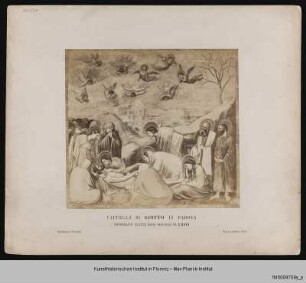 Leben Christi (untere Zone Nord) und Präfigurationen : Beweinung Christi