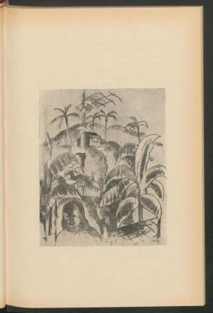 [Paisaje tropical]