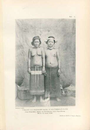 Taf. 9. Frauen der Mahakam-Kajan in Alltagskleidung