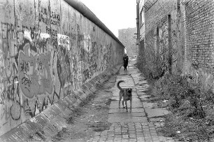 Frau mit Hund an der Mauer