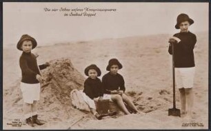 Postkarte "Die vier Söhne unseres Kronprinzenpaares im Seebad Zoppot"