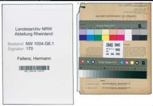 Entnazifizierung Hermann Fellenz , geb. 28.11.1886 (Vorstandsmitglied)