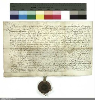 Revers Georg Heydwolffs bezüglich der Belehnung mit einem Hof in Dietershausen durch Balthasar [von Dernbach], Abt von Fulda