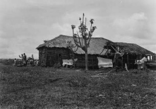 Gehöft : Das Haus eines Gehöfts.
