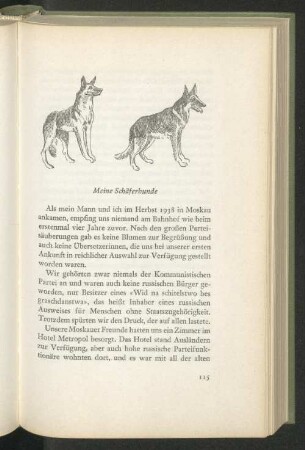 Meine Schäferhunde