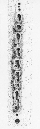 Spalteneruption, schematische Kartenskizze (H. Reck) : Geologie | Vulkanismus | Spalteneruptionen und Kraterreihen