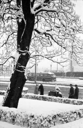 Freiburg: Blick über den Bahnhofsplatz, Vordergrund Baum