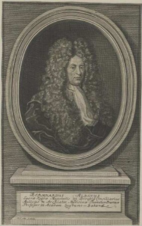 Bildnis des Bernhardus Albinus