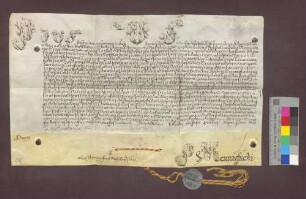 Papst Pius VI. konfirmiert die Wahl des Franz Josef Sigmund von Roggenbach zum Bischof von Basel.