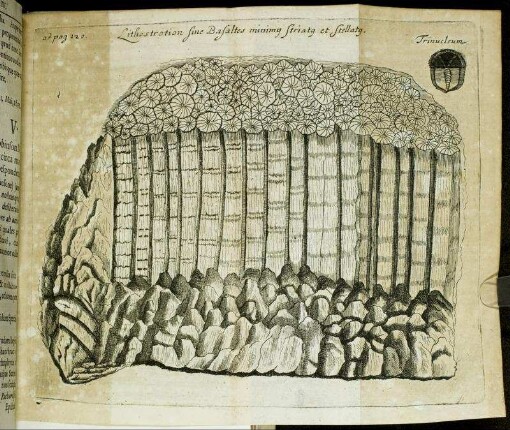 Lithostration sine Basaltes minimg striatg et stellatg.