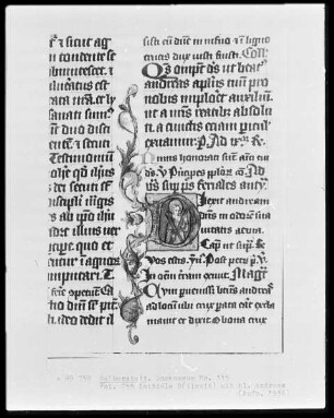 Brevier, Ms. 115, folio 255, Textseite mit Initialen D(ilexit) und heiligem Andreas