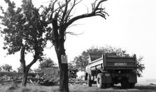 Neschwitz-Saritsch. Ehem. Windmühlengehöft, Trümmer der Gebäude