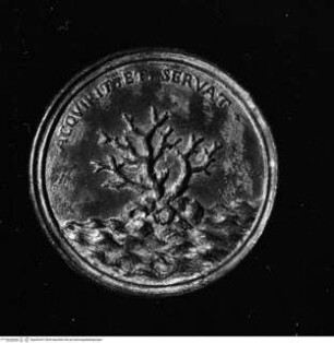 Medaille der Maria Magdalena von Österreich (1589 - 1631), Korallenzweig über einer Wasserfläche