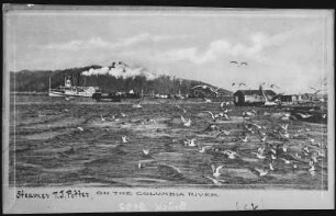 Nordamerika. Steamer J. J. Potter, on the Columbia River