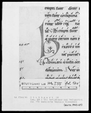 Monastisches Antiphonale — Initiale H(erodes), Folio 17verso
