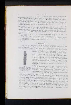 c) Elastisches Gewebe.