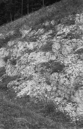 Aufschluß im Braunen Jura : Blick auf Gestein vermutlich aus dem Braunen Jura bei Möringen