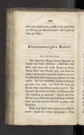 Einundzwanzigstes Kapitel. Das Wiedersehen.