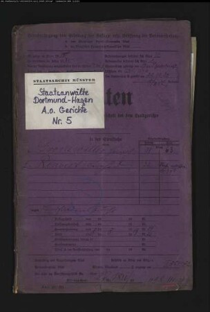 Angeklagter: Grönewäller, Heinrich; Angeklagter: Renvert, Bernhard; Angeklagter: Wecke, Hermann; Verteidiger: Hollinde, Angeklagter: Landfriedensbruch (Plünderungen usw. in Hamm am 3.- 4.7.1919)