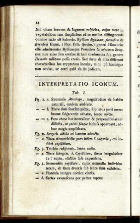 Interpretatio Iconum.