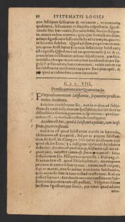 Cap. VIII. Praedicamentum Quantitatis.