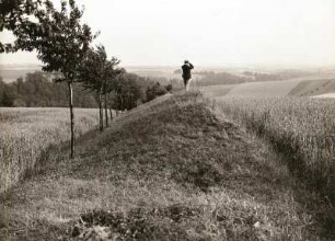 Burgberg bei Zschaitz. Ostwall mit Blick ins Jahnatal