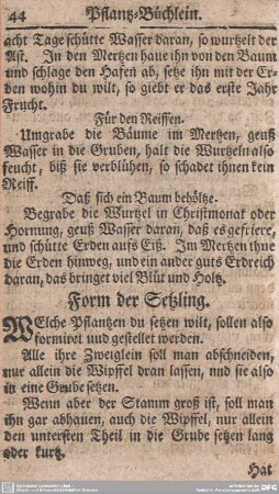 Form der Setzling.