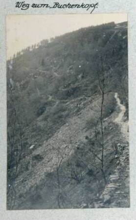 Foto des Wegs zum Buchenkopf