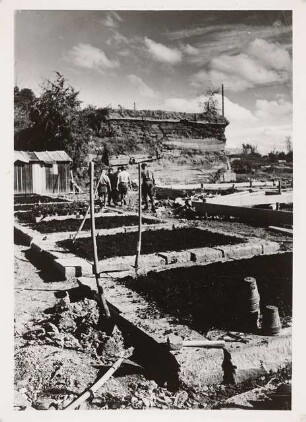 Reichsgartenschau 1939 auf dem Killesberg, Stuttgart: Rosental
