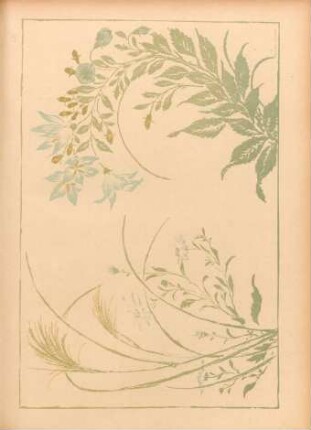 CB [Fleurs des champs, ...]