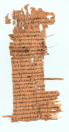Inv. 00184 (=P. Kroll.) + P. Palau Rib. Inv. 172, Köln, Papyrussammlung