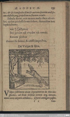 De Vulpe & Uva
