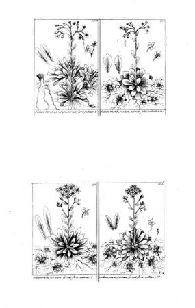 1309-1312