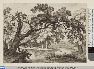 Waldteich mit schrägem Baum