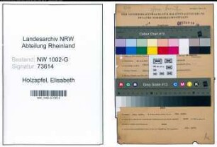 Entnazifizierung Elisabeth Holzapfel, geb. 26.09.1903 ()